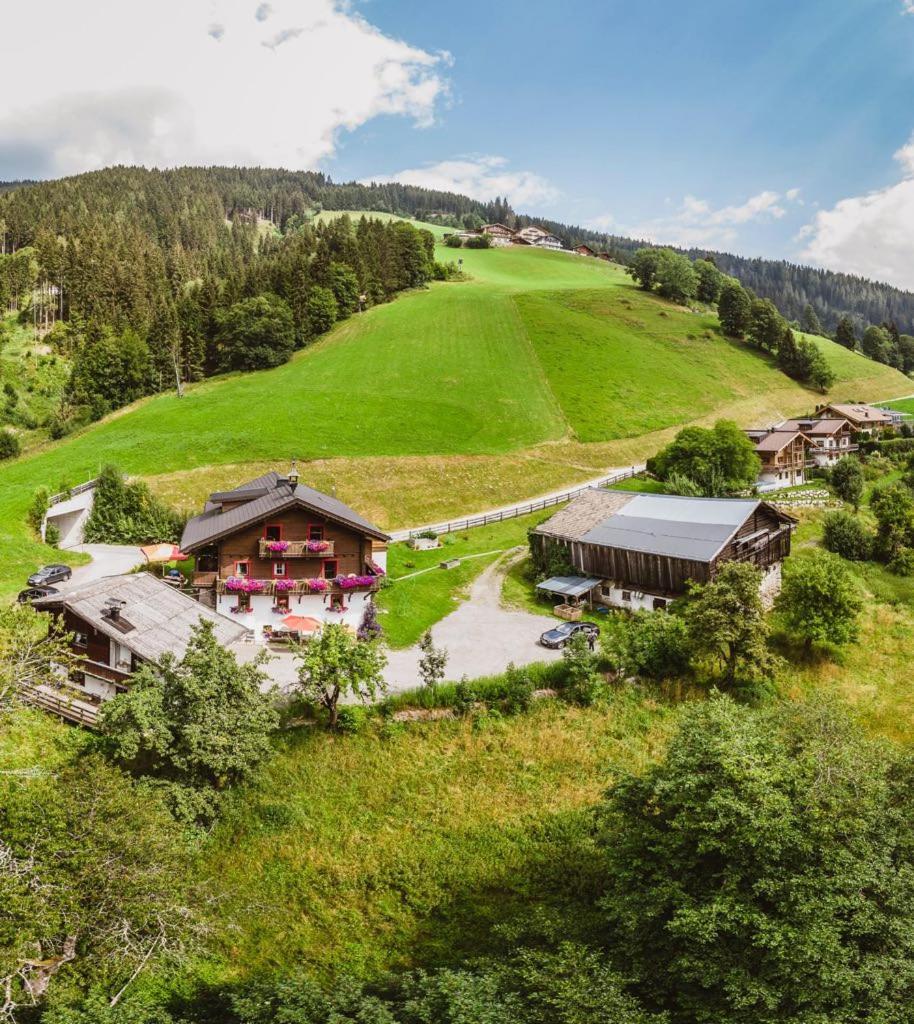 Appartement Schmiedhof ツェル アム ゼー エクステリア 写真